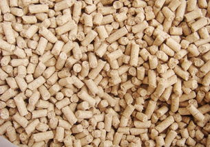 選擇玉米秸稈飼料顆粒機(jī)廠家不能忽略這幾個(gè)問題